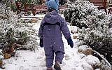 Snow in Jerusalem in 2013. (photo credit: Mitch Ginsburg/Times of Israel)