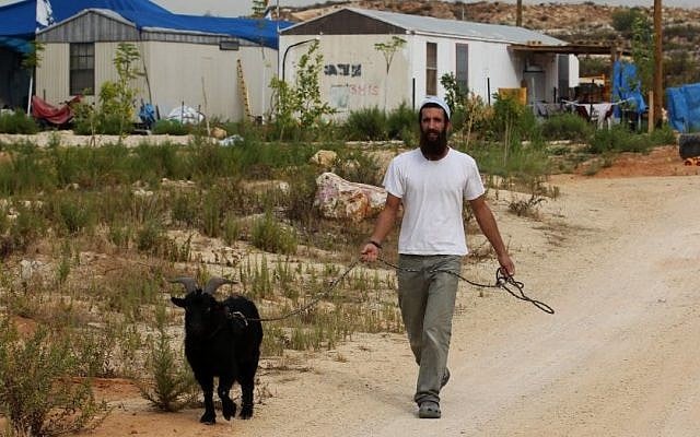 An Israeli settler walks with a goat in the Tzufim outpost near the Palestinian town of Qalqilya in the West Bank on October 31, 2012. (Photo credit: Nati Shohat/Flash90)