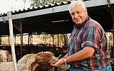 Ariel Sharon seen working on his Shikmim Farm in the Negev, September 27, 1993. (Photo credit: Gideon Markowicz/FLASH90