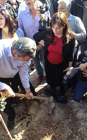 Deputy Foreign Minister Ze'ev Elkin plants a tree in the Jordan Valley settlement of Gitit, Thursday, January 1, 2014 (photo credit: Raphael Ahren/Times of Israel)