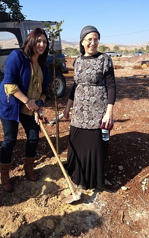 MKs Miri Regev (left, Likud) and Orit Struck (right, Jewish Home) plant a tree in the Jordan Valley settlement of Gitit, Thursday, January 1, 2014 (photo credit: Raphael Ahren/Times of Israel)