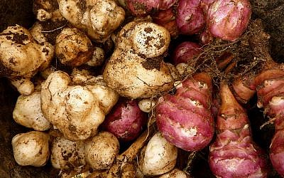 Jerusalem artichokes lack starch, and are a good addition to soups and stews (By Christian Guthier/CC-BY-Flickr)