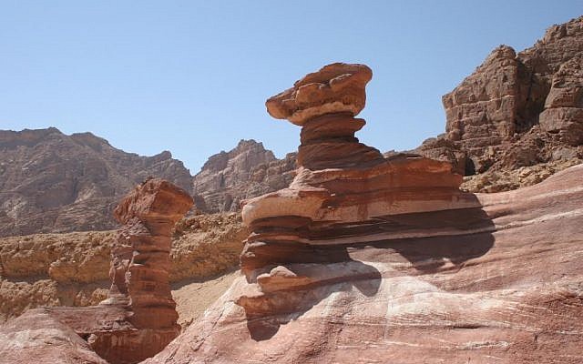 Desert glory (photo credit: Shmuel Bar-Am)