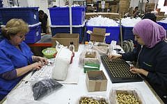 Palestinians and Israelis work at the SodaStream factory in the Mishor Adumim industrial park in the West Bank, February 2, 2014. (Nati Shohat/Flash90)