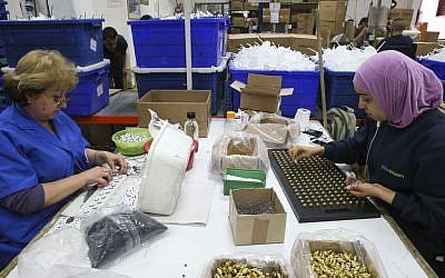 Palestinians and Israelis work at the SodaStream factory in the Mishor Adumim industrial park in the West Bank, February 2, 2014. (Nati Shohat/Flash90)