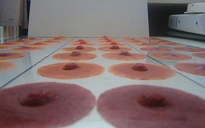 A sample of prosthetic nipple from the Israeli company Pink Perfect (photo credit: Ben Sales/JTA) 