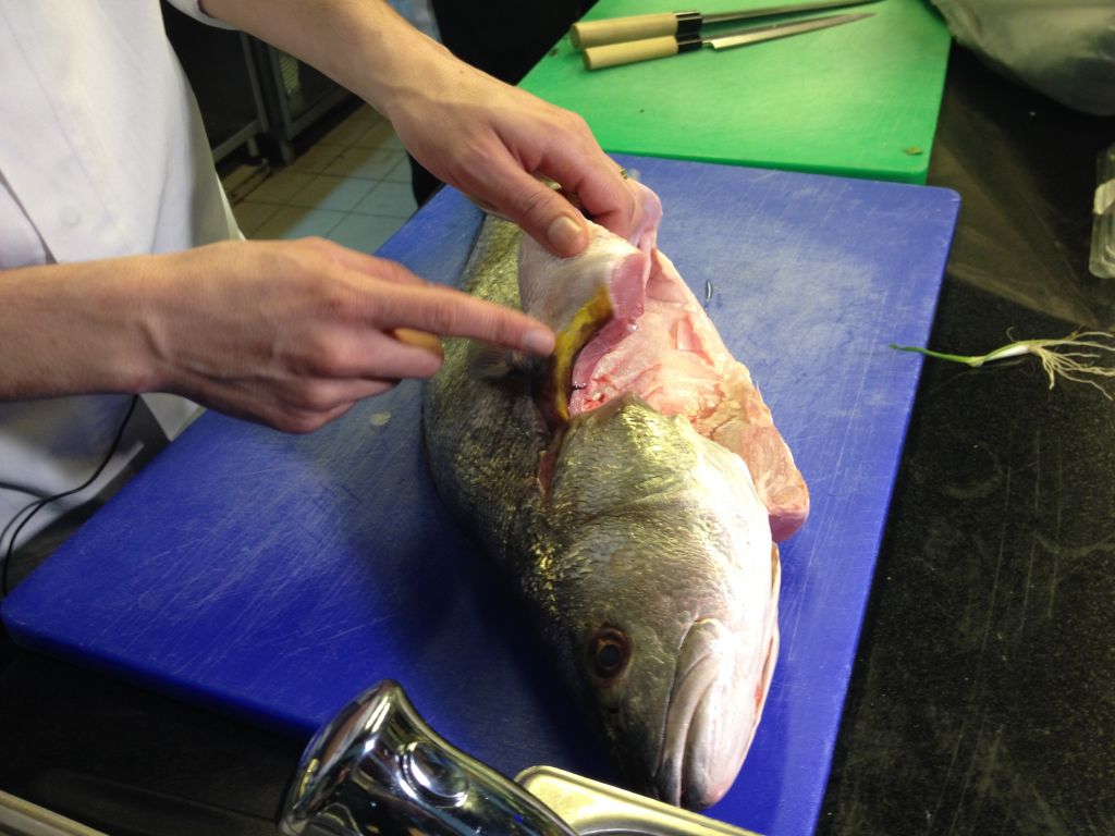 That yellow line under the skin of the sea bream is a sign of a fresh fish (photo credit: Jessica Steinberg/Times of Israel)
