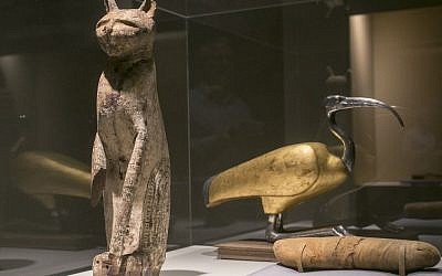 A cat coffin with mummy, left, and an ibis coffin is displayed as part of the exhibit "Soulful Creatures: Animal Mummies in Ancient Egypt," at the Orange County's Bowers Museum in Santa Ana, Calif. (photo credit: AP/Damian Dovarganes)
