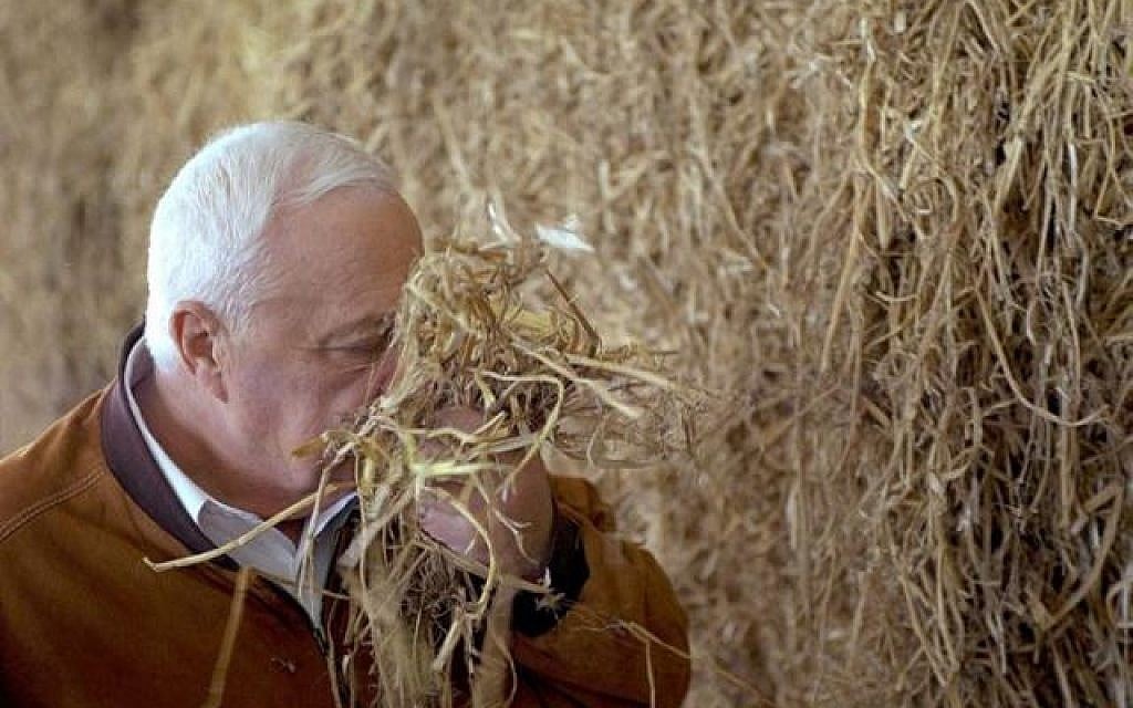 Former prime minister Ariel Sharon (photo credit: GPO)