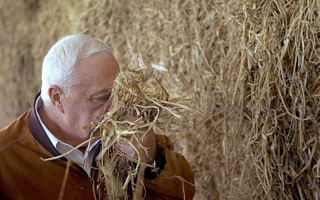 Former prime minister Ariel Sharon (photo credit: GPO) Former prime minister Ariel Sharon (photo credit: GPO)