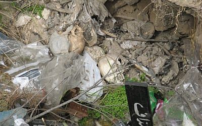Skulls inside a sinkhole on Mount Zion cemetery (photo credit: Yochanan Ben David)