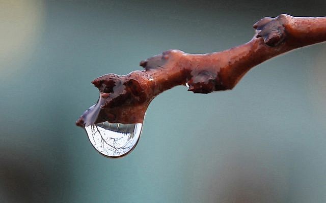 Photo by Dalit Avnon (Courtesy)