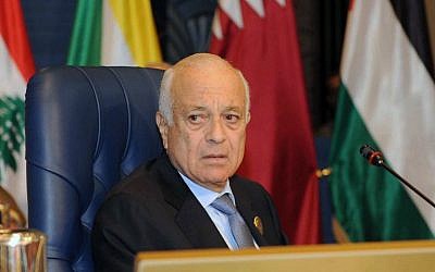 Arab League Secretary-General Nabil Elaraby on March 25, 2014 (AFP/Yasser al-Zayyat)