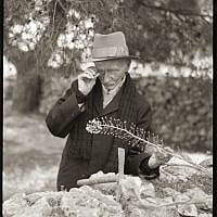 Botanist and American Colony member John Edward Dinsmore, the American Colony School headmaster, examining a 'hatzav,' or sea quill (Prints and Photographs Division, Library of Congress, Washington, D.C.)