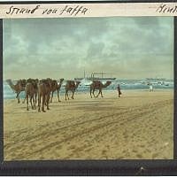 The beach at Jaffa (photo credit: © DEIAHL, Jerusalem)
