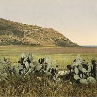 Mount Carmel from the north (undated) (photo credit: © DEIAHL, Jerusalem)