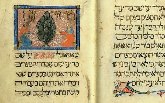 Detail of the 'Maror' page of the Sarajevo Haggadah (courtesy of the Foundation for Jewish Culture)
