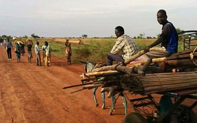 People traveling on the road near Bentiu, South Sudan, Sunday April 20, 2014. (AP Photo/Toby Lanzer, United Nations)
