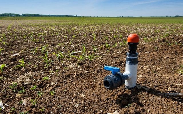 This picture taken on May 5, 2014 shows a drip irrigation system on a cornfield in Pas-de-Jeu (near Thouars, Western France). Drip irrigation was invented in Israel in the 1960s. (photo credit: AFP/Guillaume Souvant) This picture taken on May 5, 2014 shows a drip irrigation system on a cornfield in Pas-de-Jeu (near Thouars, Western France). Drip irrigation was invented in Israel in the 1960s. (photo credit: AFP/Guillaume Souvant)