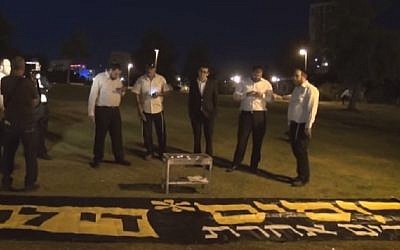 Dosim volunteers in Gan Sacher on Memorial Day (screen capture: Youtube)