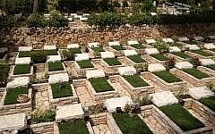 A Yom Kippur War plot (photo credit: Mitch Ginsburg/ Times of Israel)