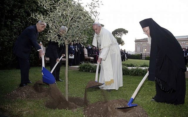 Pope Francis plants an olive tree with Israel's former president Shimon Peres, left, Palestinian President Mahmoud Abbas, second from left, and Ecumenical Patriarch Bartholomew I, right, in a sign of peace during an evening of peace prayers in the Vatican gardens, Sunday, June 8, 2014. (photo credit: AP Photo/Max Rossi, Pool)