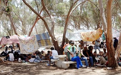 African migrants from the Holot detention center seen in their makeshift tent city in the Nitzana forest, June 29, 2014.  (photo credit: Flash 90)