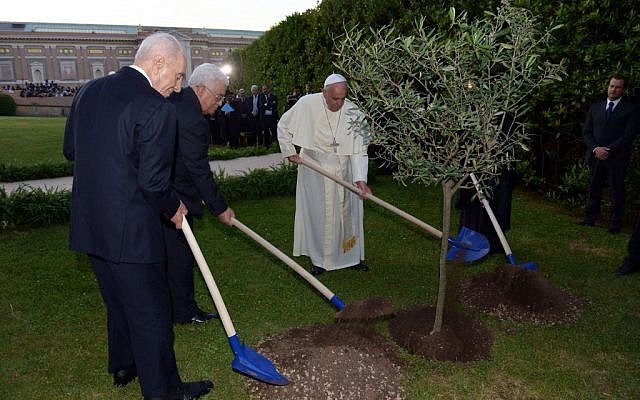Pope Francis and the two presidents planting an olive tree in the garden (photo credit: Chaim Tzach/ GPO)