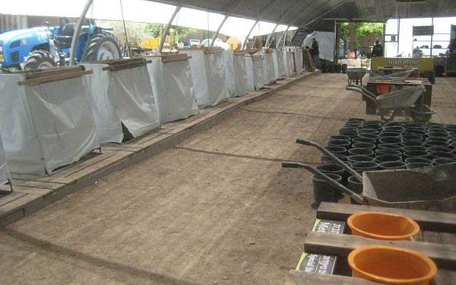 The Temple Mount Sifting Project site, with sieves for wet sifting at the side. (photo credit: Ilan Ben Zion/Times of Israel staff)