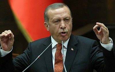 Turkey's Recep Tayyip Erdogan on July 15, 2014. (photo credit: AFP/Adem Altan)