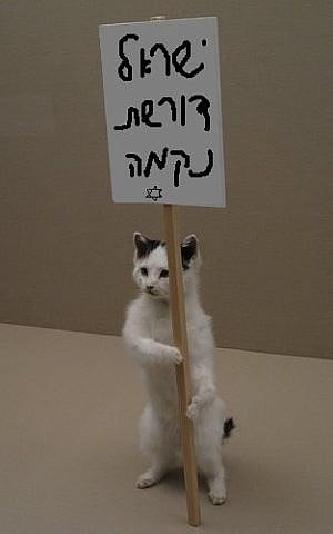 A cat holds aloft a sign reading, 'The Israeli People Demands Revenge' in this photo posted to Facebook (photo credit: Israeli People Demands Revenge/Facebook) A cat holds aloft a sign reading, 'The People of Israel Demand Vengeance' in this photo posted to Facebook (photo credit: Israeli People Demands Revenge/Facebook)