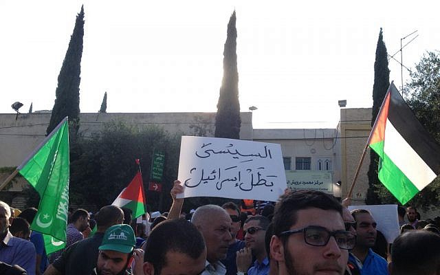 A demonstrator carries a sign reading 'El-Sissi is Israel's hero' in Nazareth, July 21, 2014 (photo credit: Elhanan Miller/Times of Israel)