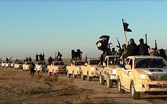 A convoy of vehicles and fighters from the Islamic State in Iraq's Anbar Province, January 2014 (photo credit: AP)