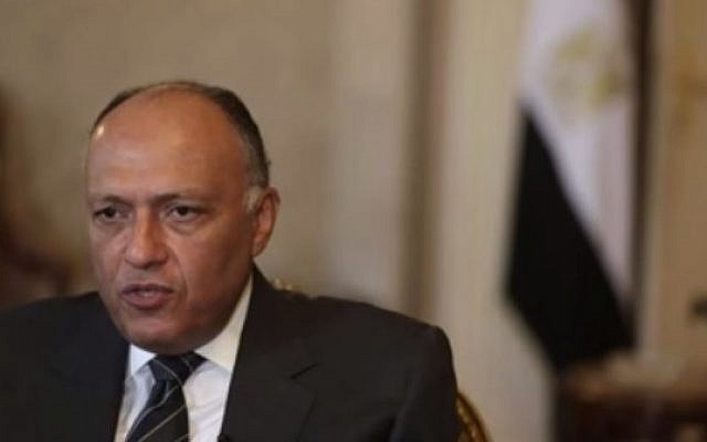 Egyptian Foreign Minister Sameh Shukri (photo credit: YouTube screen capture)