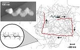 Image shows an actual nano-propellor (top left), while the drawings show how the propeller navigates through hyaluronan (Photo credit: Courtesy)