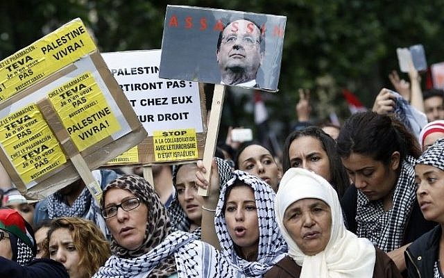 Protesters hold placards calling for the boycott of Israel and one depicting French president Francois Hollande with the word "assassin", on July 13, 2014 in Paris, (photo credit: KENZO TRIBOUILLARD / AFP) Protesters hold placards calling for the boycott of Israel and one depicting French president Francois Hollande with the word "assassin", on July 13, 2014 in Paris, (photo credit: KENZO TRIBOUILLARD / AFP)