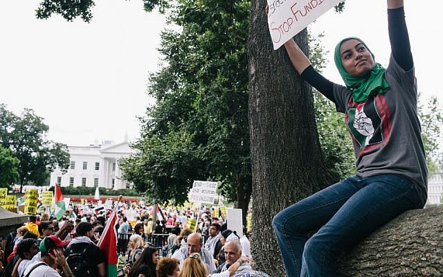 Thousands of people rally in Washington, DC, to protest Israel's military campaign in Gaza on August 2, 2014 (photo credit: Lexey Swall/Getty Images/AFP) Thousands of people rally in Washington, DC, to protest Israel's military campaign in Gaza on August 2, 2014 (photo credit: Lexey Swall/Getty Images/AFP)