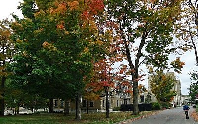The University of Massachusetts Amherst. (CC BY-SA Tomwsulcer, Wikipedia)