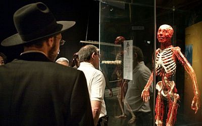 An ultra-Orthodox man attends the 'Body Worlds' exhibit in Haifa, August 17, 2009. (photo credit: Matanya Tausig/Flash90)