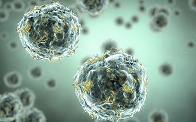 The flu hides from the immune system with the help of protective proteins. (photo credit:  Flu image.)