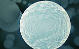 The artificial cells communicate and interact with one another like real cells. (photo credit: Cell image