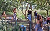 Israelis celebrate the holiday of Rosh Hashanah (Jewish New Year) in the Hula Valley (photo credit: FLASH90)