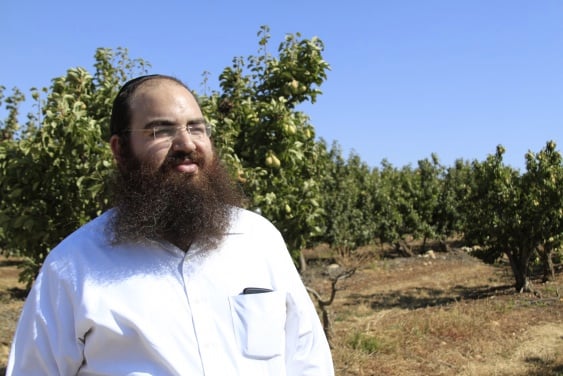 Simcha Margalioth in the pear orchard being used for communal shmita ownership (photo credit: Shterny Boteach/Times of Israel) Simcha Margalioth in the pear orchard being used for communal shmita ownership (photo credit: Shterny Boteach/Times of Israel)