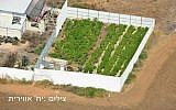 Illustrative: An aerial view of a marijuana growing facility in central Israel (photo credit: Israel Police)