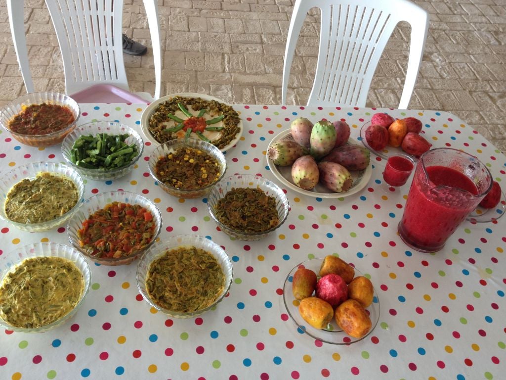 A meal of sabres-based dishes. The Blums highly recommend their sabres smoothies, made by blending the fruit in a blender or food processor, straining the seeds, and serving cold (photo credit: Jessica Steinberg/Times of Israel)