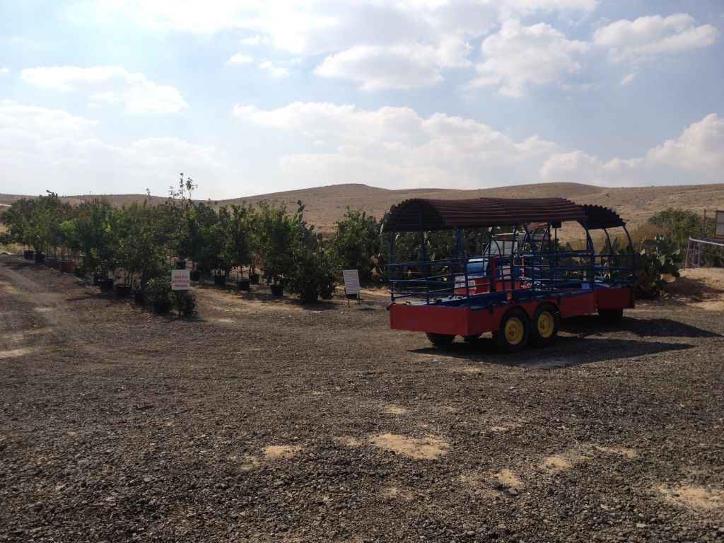 Trains, goats and prickly plants at the Orly Cactus Farm in the Negev (photo credit: Jessica Steinberg/Times of Israel)