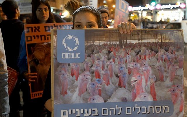Israeli animal rights activists protest against
animal cruelty in Tel Aviv in this illustrative photo. (photo credit: Gili Yaari /Flash90
