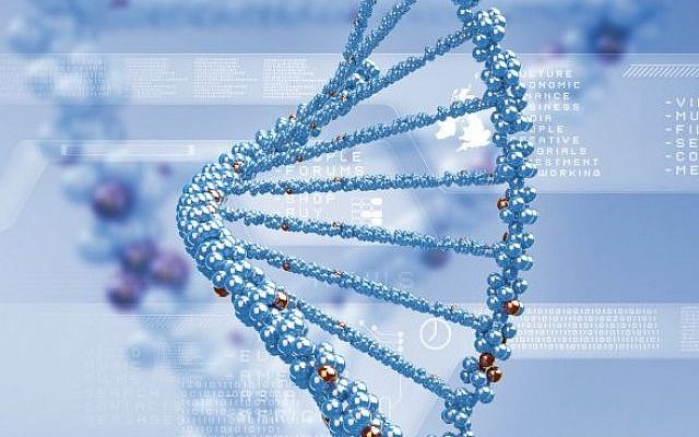 The research could one day help treat degenerative diseases. (photo credit: Genetics image) The research could one day help treat degenerative diseases. (photo credit: Genetics image)