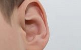 The study offers hope for a preventive drug treatment during pregnancy. (photo credit: Deafness image)