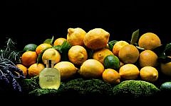 Jewish Mexican Carlos Huber's Arquiste perfume line presents L'Etrog Acqua. (courtesy)